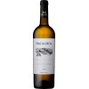 Bacalhoa Greco di Tufo White Wine