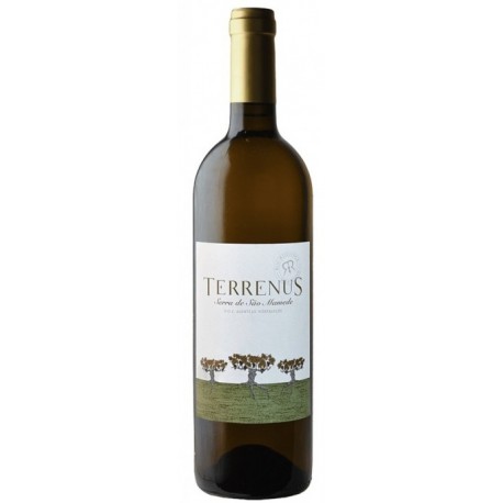 Terrenus Vin Blanc