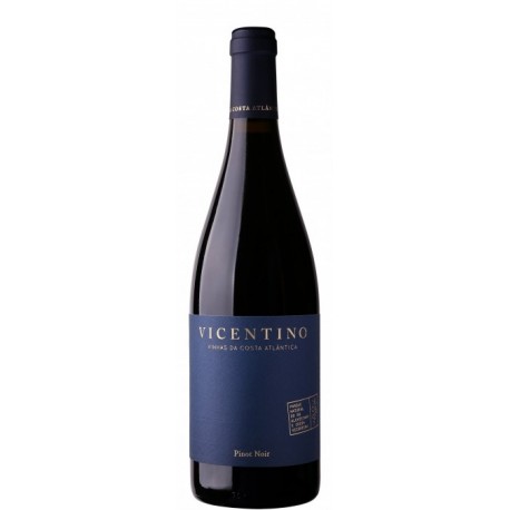 Vicentino Pinot Noir Vin Rouge