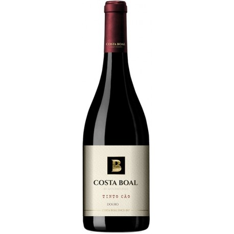 Costa Boal Tinto Cao Rotwein