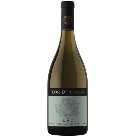 Duarte Santa Maria Vinho Branco