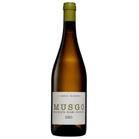 Musgo Dão White Wine