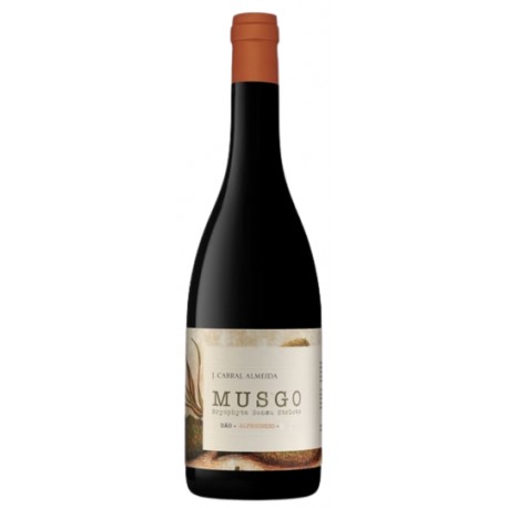 Musgo Alfrocheiro Vinho Tinto