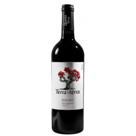 Terra a Terra Reserva Rotwein