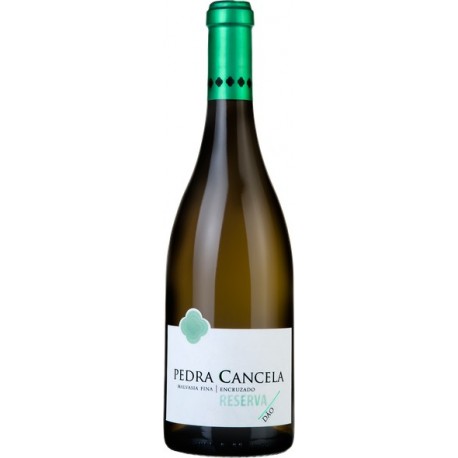 Pedra Cancela Reserve White Wine